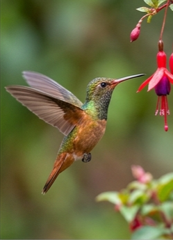 00(1)